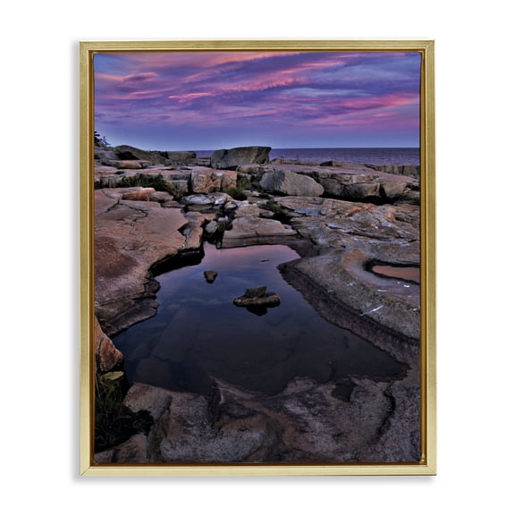 Stupell Industries Tropical Tide Pool Landscape Gold Floating Frame Canvas Art, 25 x 31, by Joseph Elliott