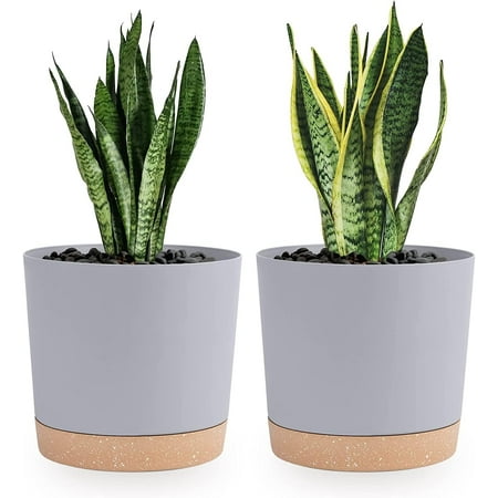 QCQHDU Plant Pots Set of 2 Pack 8 inch,Planters for Indoor Plants with Drainage Holes and Removable Base,Saucer Modern Decorative for Outdoor Garden Planters (Light Grey, 8 inch)