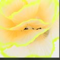 thumbnail image 4 of unbranded Coral Artificial Amarillo De Silicona Para Acuario Natural Y Duradera, 4 of 8