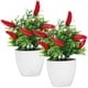 thumbnail image 2 of 2pcs Artificial Pepper Tree Fake Pepper Tree Bonsai Small Pepper Tree Bonsai Decoration, 2 of 3