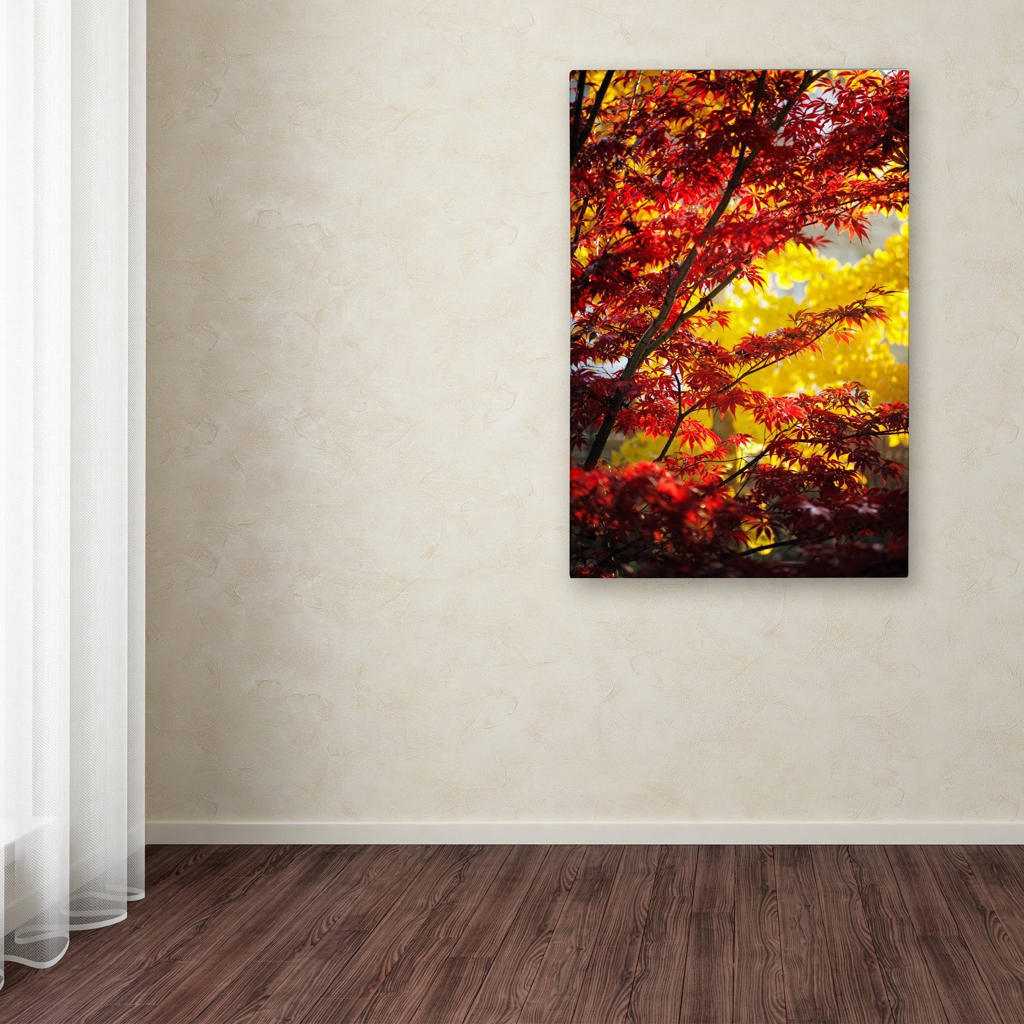 Trademark Fine Art "I Believe" Canvas Art by Philippe Sainte-Laudy