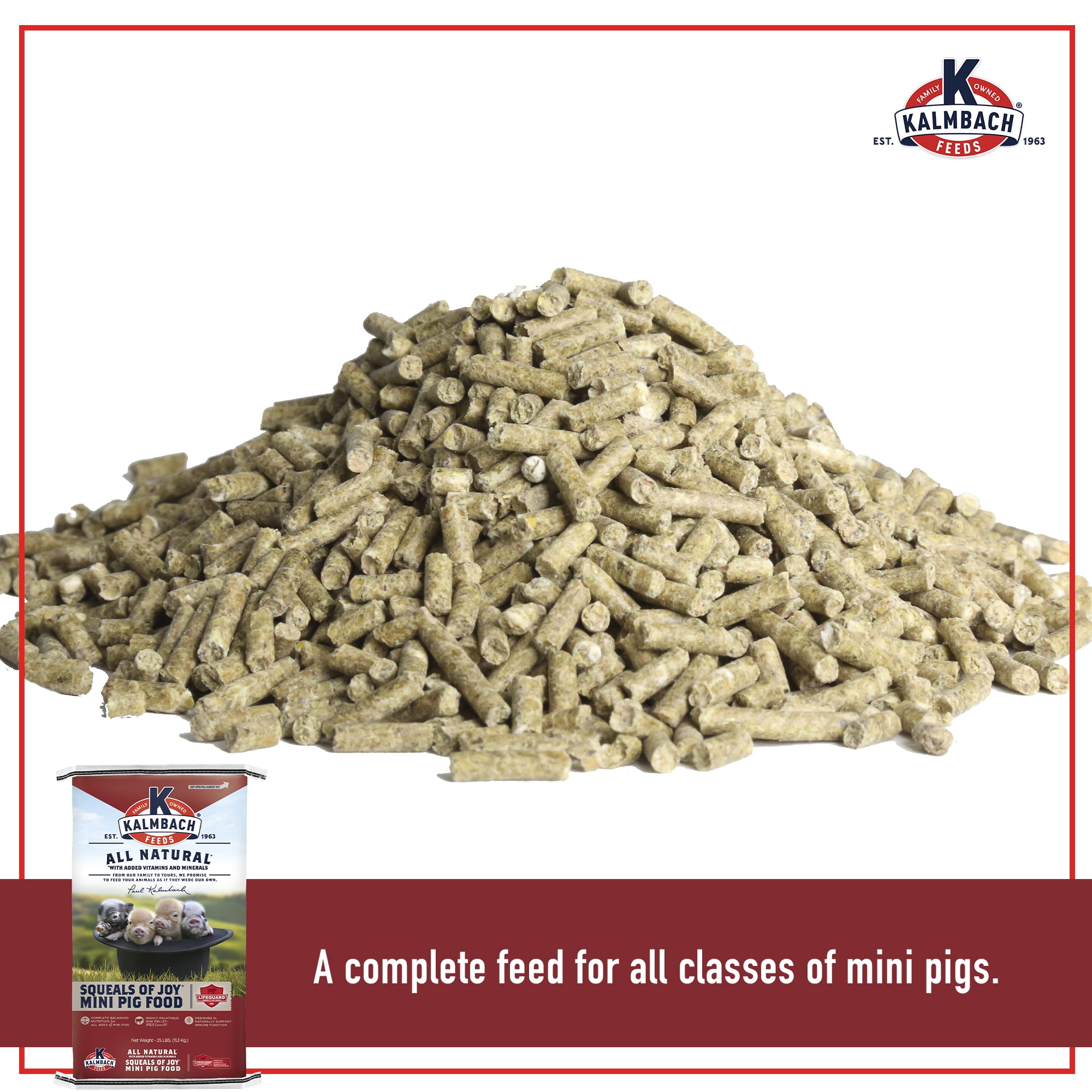 (4 pack) Kalmbach Feeds Squeals of Joy 16% Mini Pellet Food for Mini Pigs, 25 lb