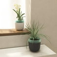 thumbnail image 1 of Garden Self Watering Plant Pot - Time-Saving Functional Plant Pot - African Violets  Orchid  Flower Pot Container(Black), 1 of 8