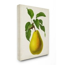Stupell Industries Vintage Fruit Pear Painting Super Canvas Wall Art by Vision Studio