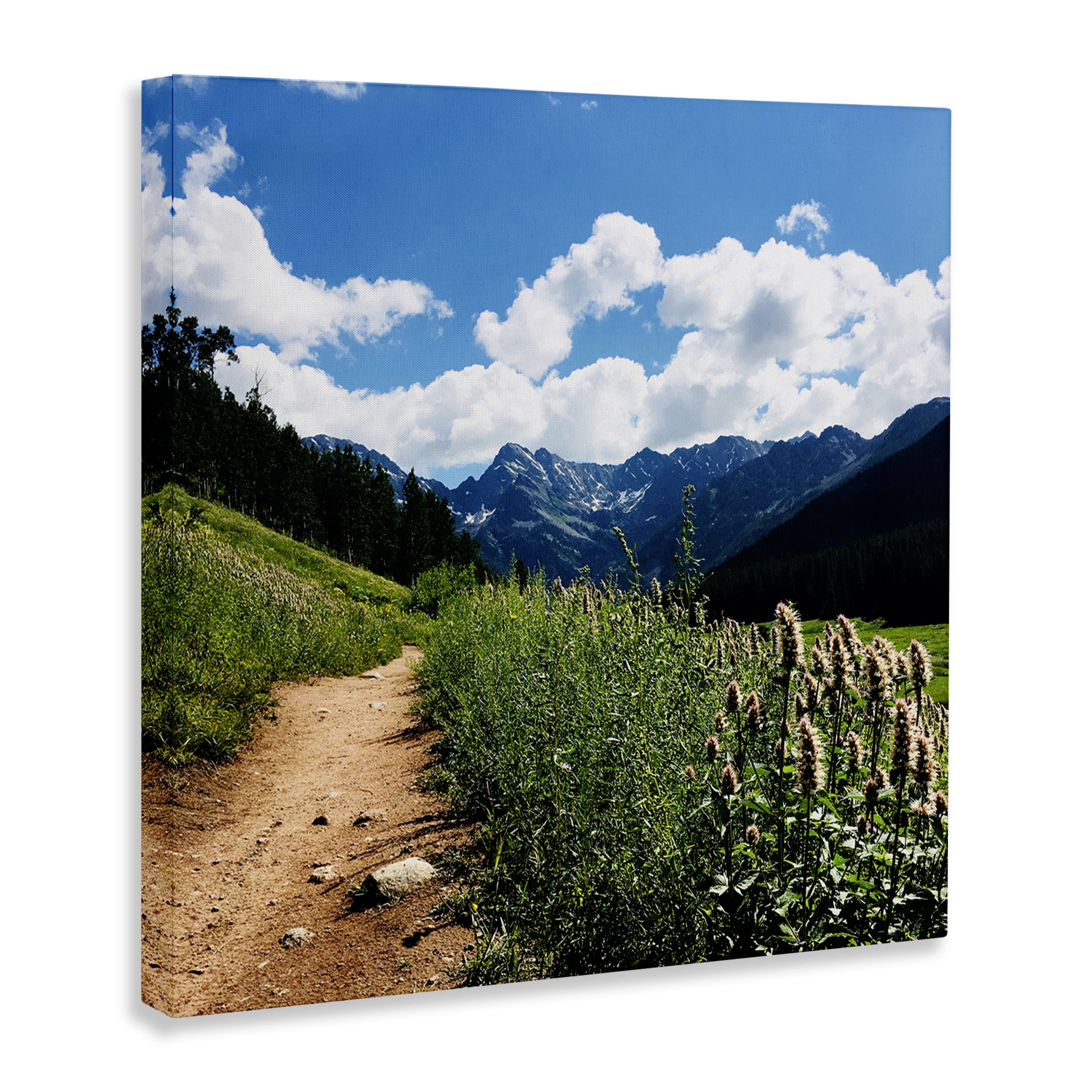 Stupell Industries Lovely Path with Clouds Landscape & Nature Photography Wrapped Canvas Art Print Wall Art, 17 x 17