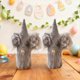 thumbnail image 4 of Juguetes, Peluches, Muñecos de peluche, Animales de peluche, Muñeco con orejas de conejo, Adorno de mesa para Pascua, Decoración de Pascua, Muñeco Rudolph, Regalo para niños, Muñeco de tela, 4 of 6