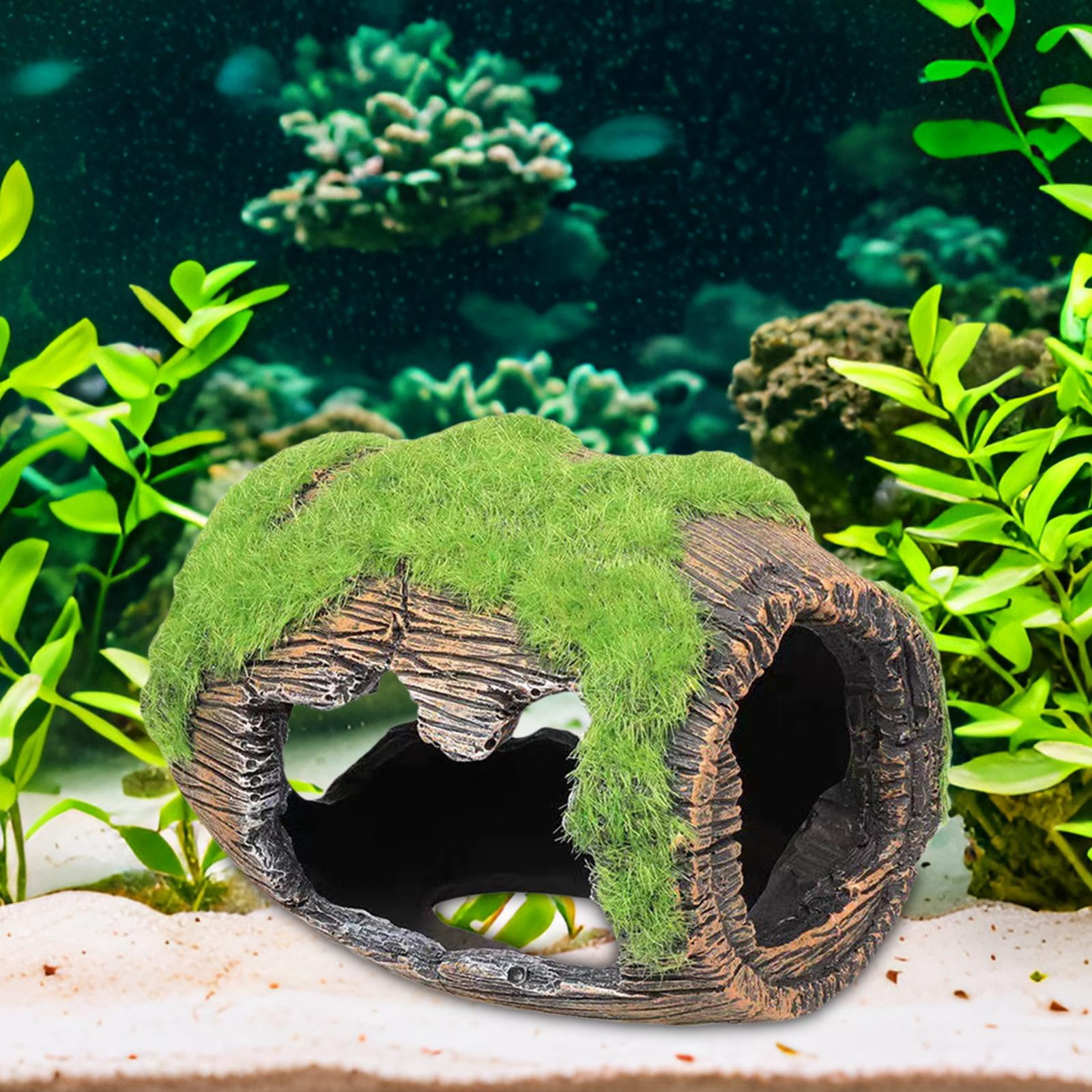Baoblaze 3X Aquarium Decorations Resin Aquarium Ornament for Cichlid Betta