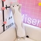thumbnail image 5 of Soft Plush Cat Pillow Long Cotton Pillow Cute Plush Doll Toy Gift for Kids Girlfriend (Gray, 50cm/19.68inch, 1 Set), 5 of 5