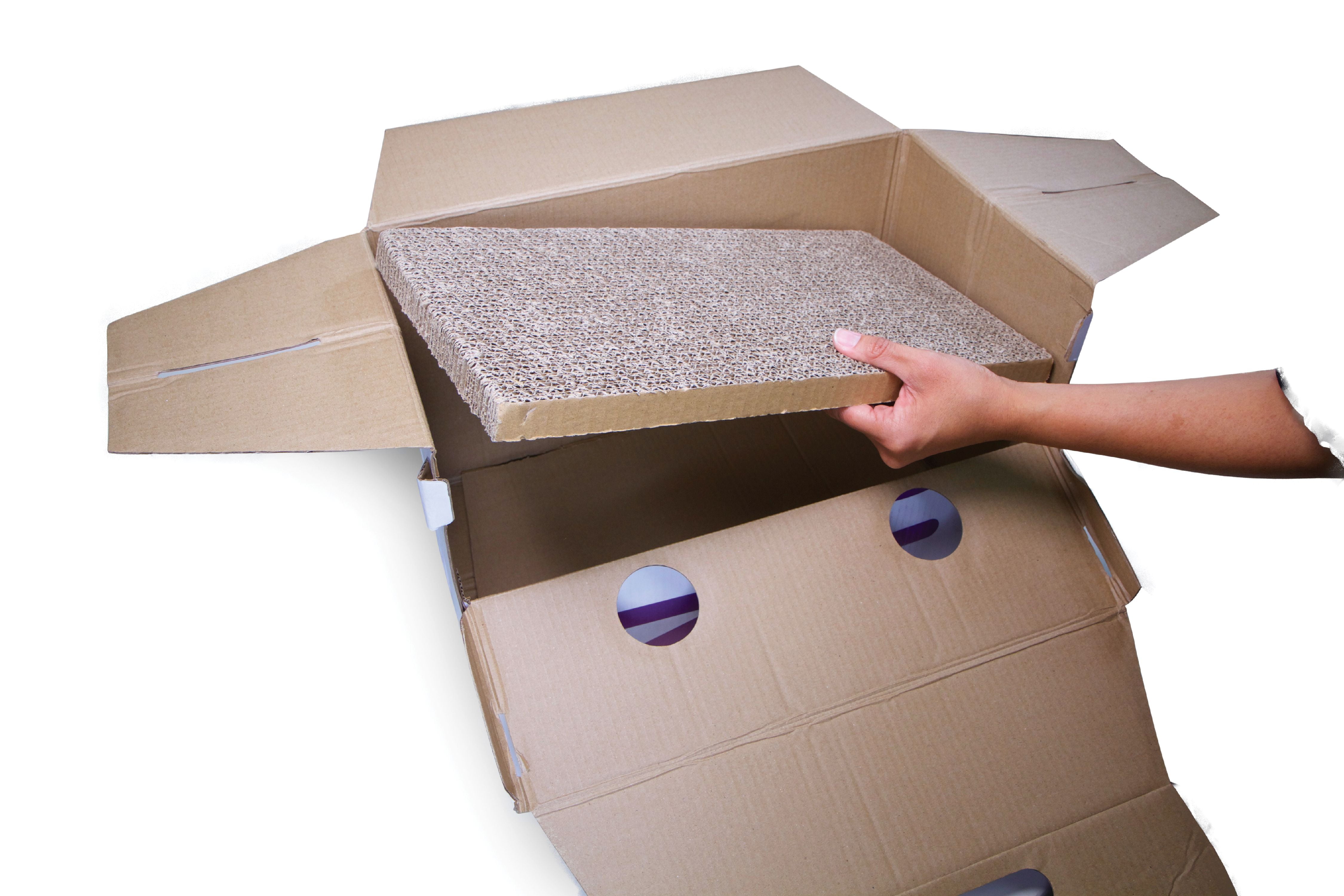 cardboard pet carrier walmart