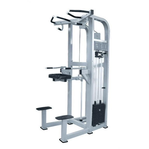 French Fitness Shasta Assisted Chin Dip (New)