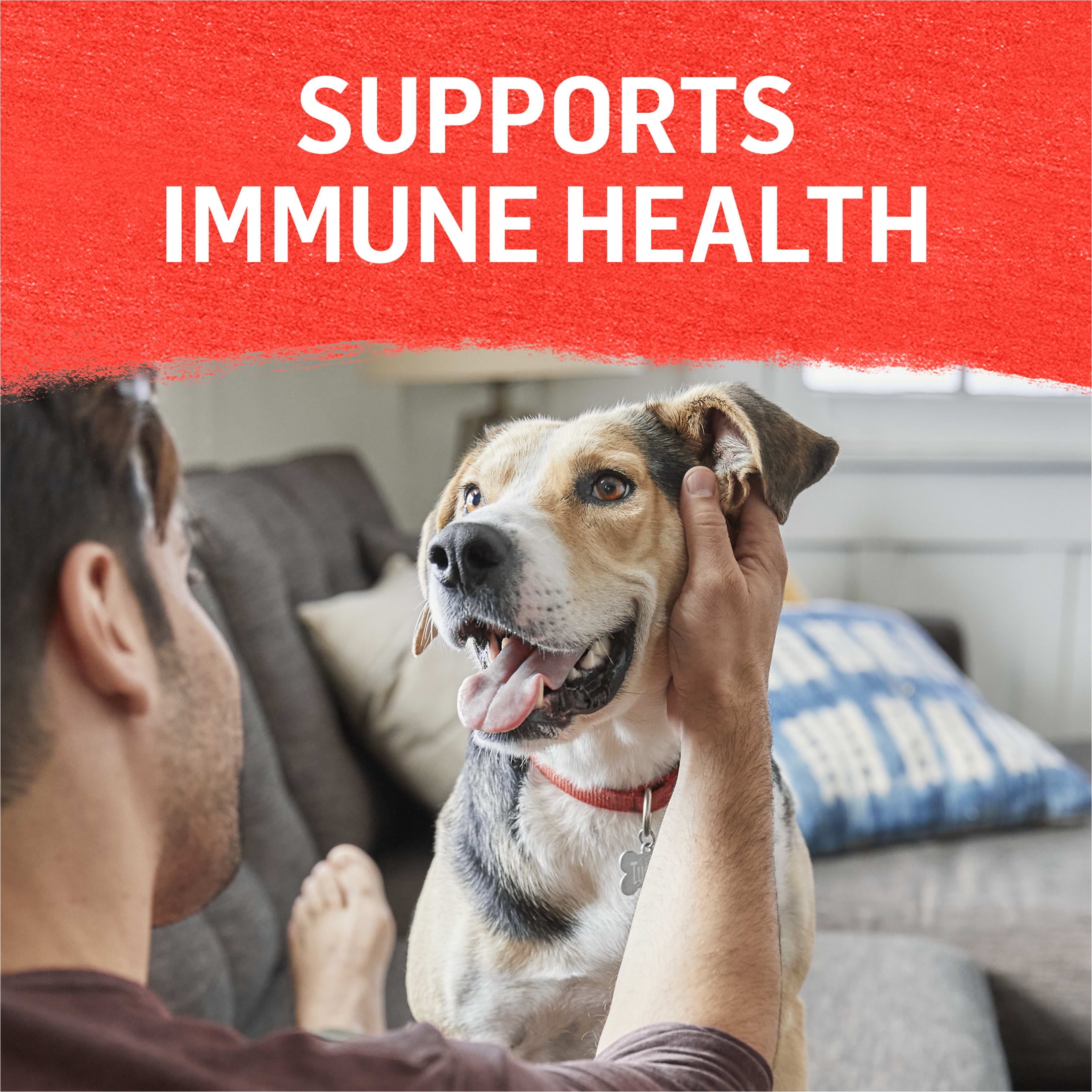 (12 pack) Purina Beyond Immune Health Wet Dog Food High Protein Ground Entree Beef & Potato, 13 oz Can