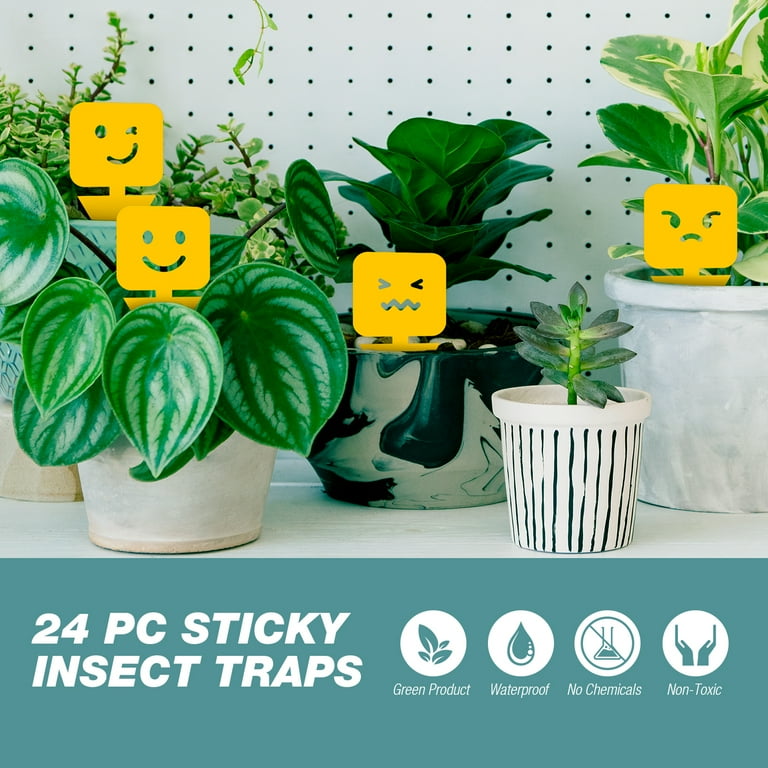 ☀︎☀︎☀︎ 24-Pack Sticky Insect Traps - Novelty Emoji – ZingZapUSA