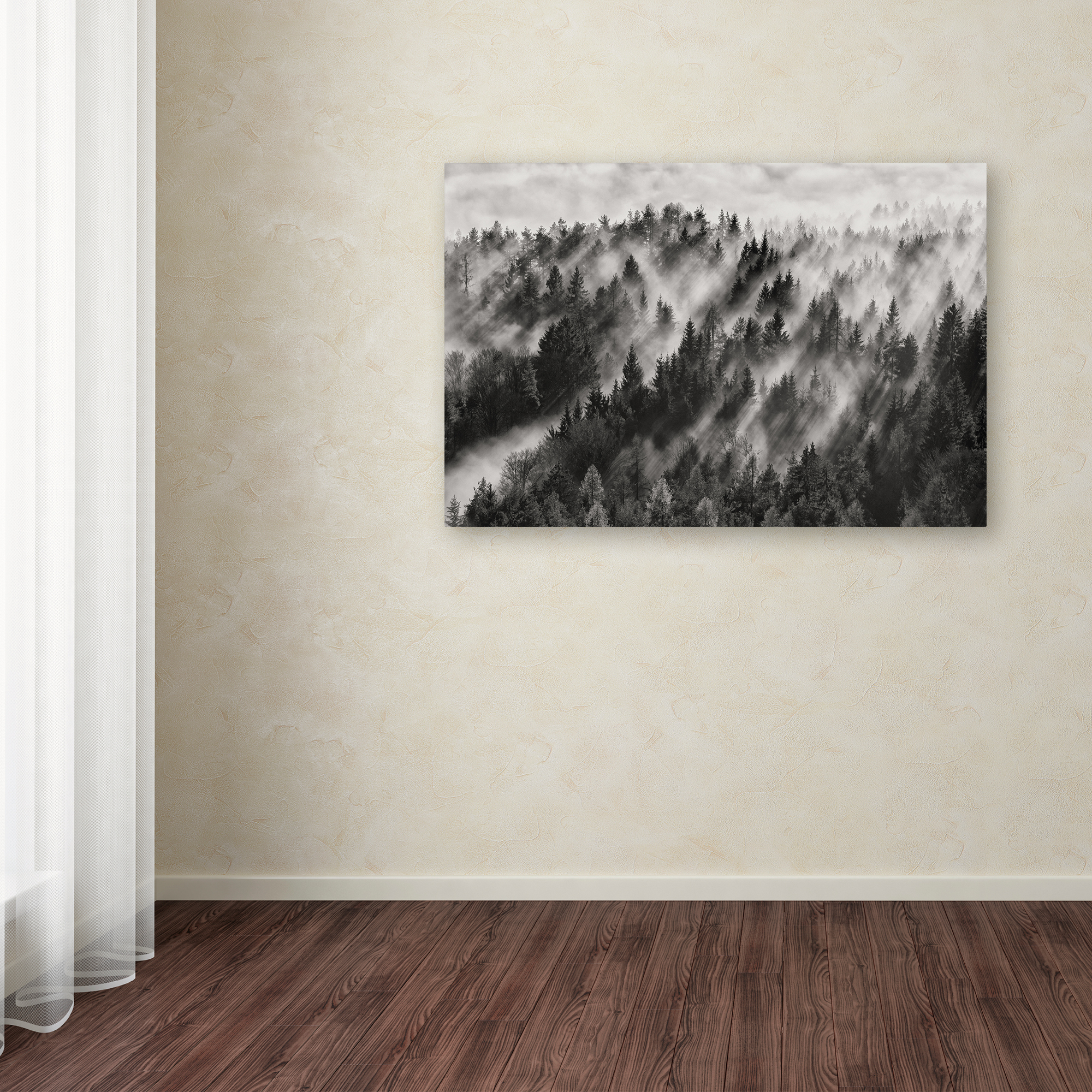 Trademark Fine Art 'Sundance No1' Canvas Art by Davorin Baloh