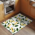 thumbnail image 2 of Lemons Leaves Entryway Rug 2'x3'&nbsp; Non Slip Front Door Mats, Summer Fruits Floral Botanical Entrance Rugs Indoor Outdoor Carpet, Washable Floor Mats Small Area Rug for Bedroom Kitchen, 2 of 8