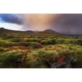 thumbnail image 2 of Posterazzi DPI12296382LARGE Moss Covered Lava Field At Sunrise Snaefellsness Peninsula - Iceland Poster Print by Robert Postma, 38 x 24 - Large, 2 of 4