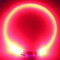 thumbnail image 1 of PENGXIANG USB Rechargeable LED Dog Collar Glowing pet Dog Collar for Night Safety  Water Resistant Cuttable TPU Light Up Collars Fashion Light up Collar for Small Medium Large Dogs, 1 of 2
