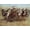 Canvas, variant on Art.com Victory Dance Art Print by Frederic Sackrider Remington, 16" x 12"