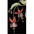 thumbnail image 2 of Goldberger, Jennifer 12x18 Black Ornate Wood Framed with Double Matting Museum Art Print Titled - Graphic Fuchsia V, 2 of 4
