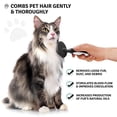 thumbnail image 6 of Poodle Pet Round Soft Bristle Hair Brush Pet Grooming Tool for Dogs & Cats (Black), 6 of 8