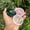 Rose Quartz, variant on Healing Bowl Crystal Bowl Charging Bowl |Himalayan Clear Crystal Round Shape Bowl/Spiritual Energy Generator/Very STUNNING Jewelry Bowl Gift(Clear Quartz)