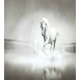 thumbnail image 3 of Horses Duvet Cover Set, Wild Horse Running Through Water Dramatic for the Motivation of Life Art, Decorative 3 Piece Bedding Set with 2 Pillow Shams, King Size, Black and White, by Ambesonne, 3 of 3