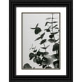 thumbnail image 1 of Artographie Studio 23x32 Black Ornate Wood Framed with Double Matting Museum Art Print Titled - Eucalyptus Natural 08, 1 of 4