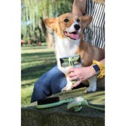 Safari Dog Self-Cleaning Slicker Brush, Small
