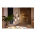 thumbnail image 5 of Philips Hue White Ambiance Filament G25 Bluetooth Smart LED Bulb, Black, 5 of 5