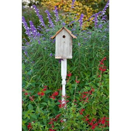 Mexican Bush - Birdhouse in a garden with Mexican Bush Sage and Pineapple Sage Marion County Illinois USA Poster Print