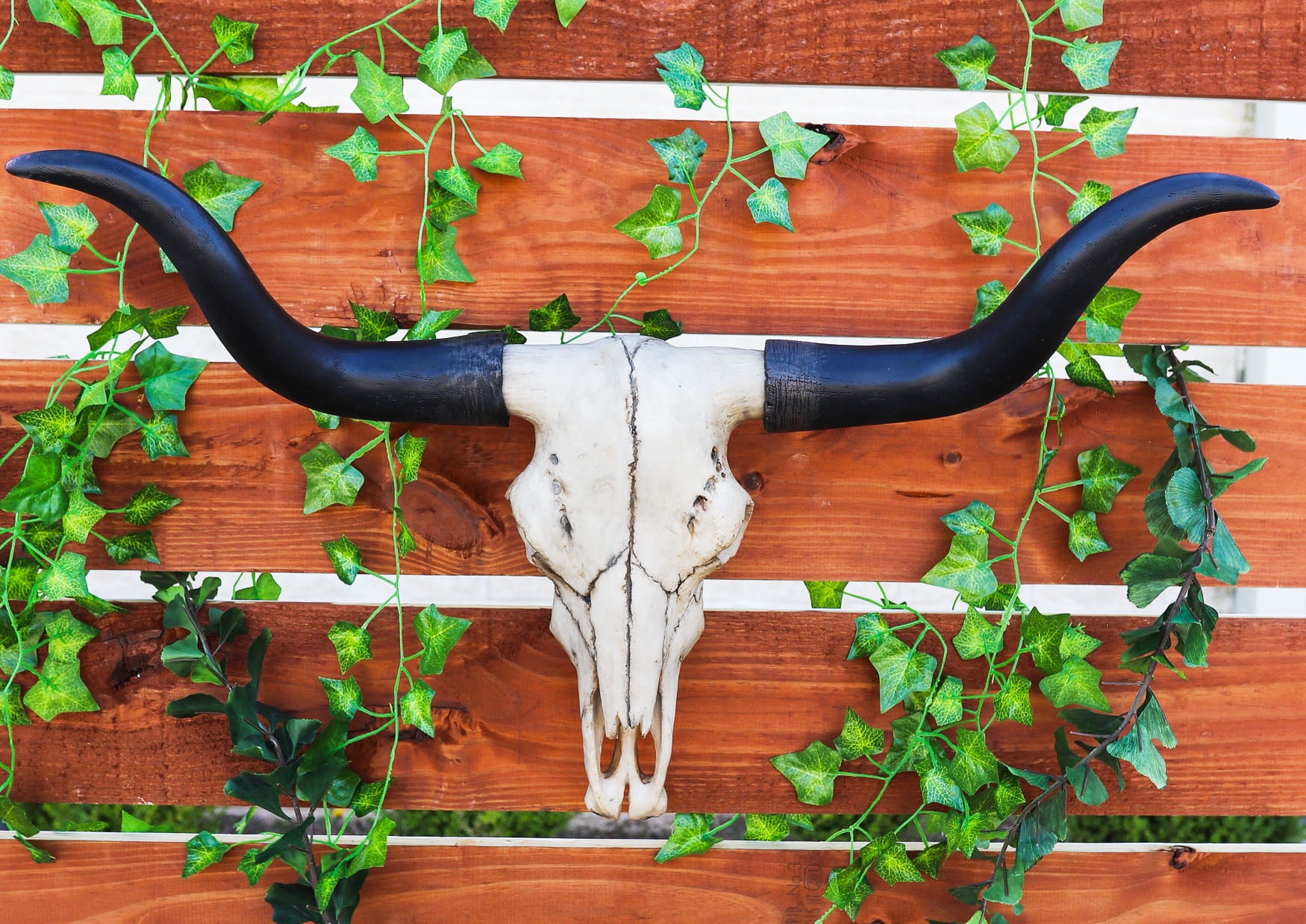 Long Huge Texas Longhorn Cow Skull Wall Hanging Horn Steer Western Decoration 
