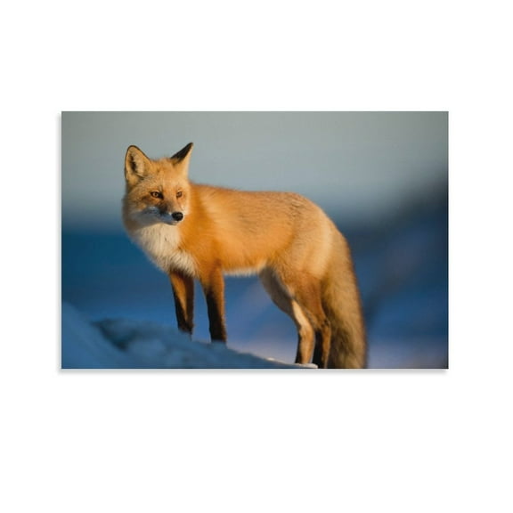 Hokkaido Red Fox Poster Decorative Painting Canvas Wall Art Living Room Posters Bedroom Painting,Unframe-style,12x18inch(30x45cm)