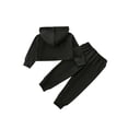 thumbnail image 2 of Qiylii Toddler Girls 2Pcs Fall Outfits, Letter Print Crop Hoodie+Pants,1-6Y, 2 of 8