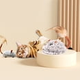 thumbnail image 3 of CIYISON Plush Mice Cats Toy Indoor Active Healthy Hunting Toy Pet Cats Mice Toy, 3 of 10