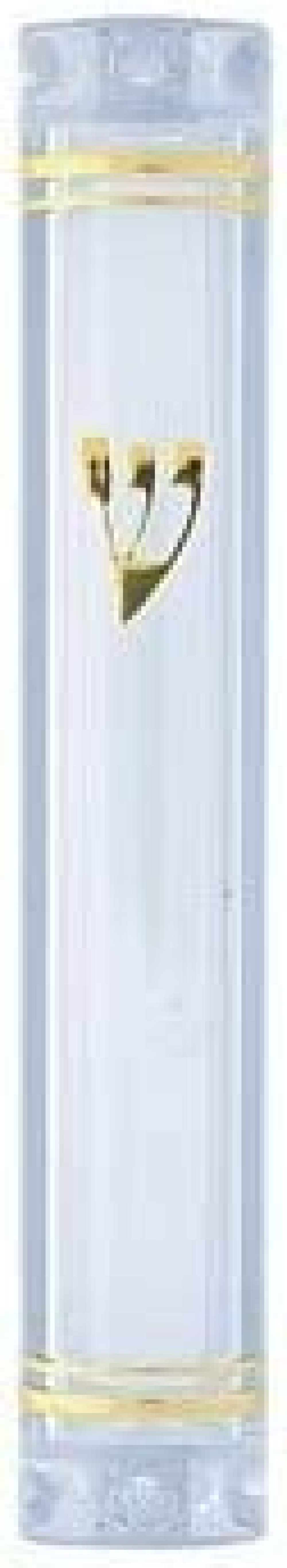 Waterproof Lucite Mezuzah Case Holder for 10 cm Scroll 3 Pack