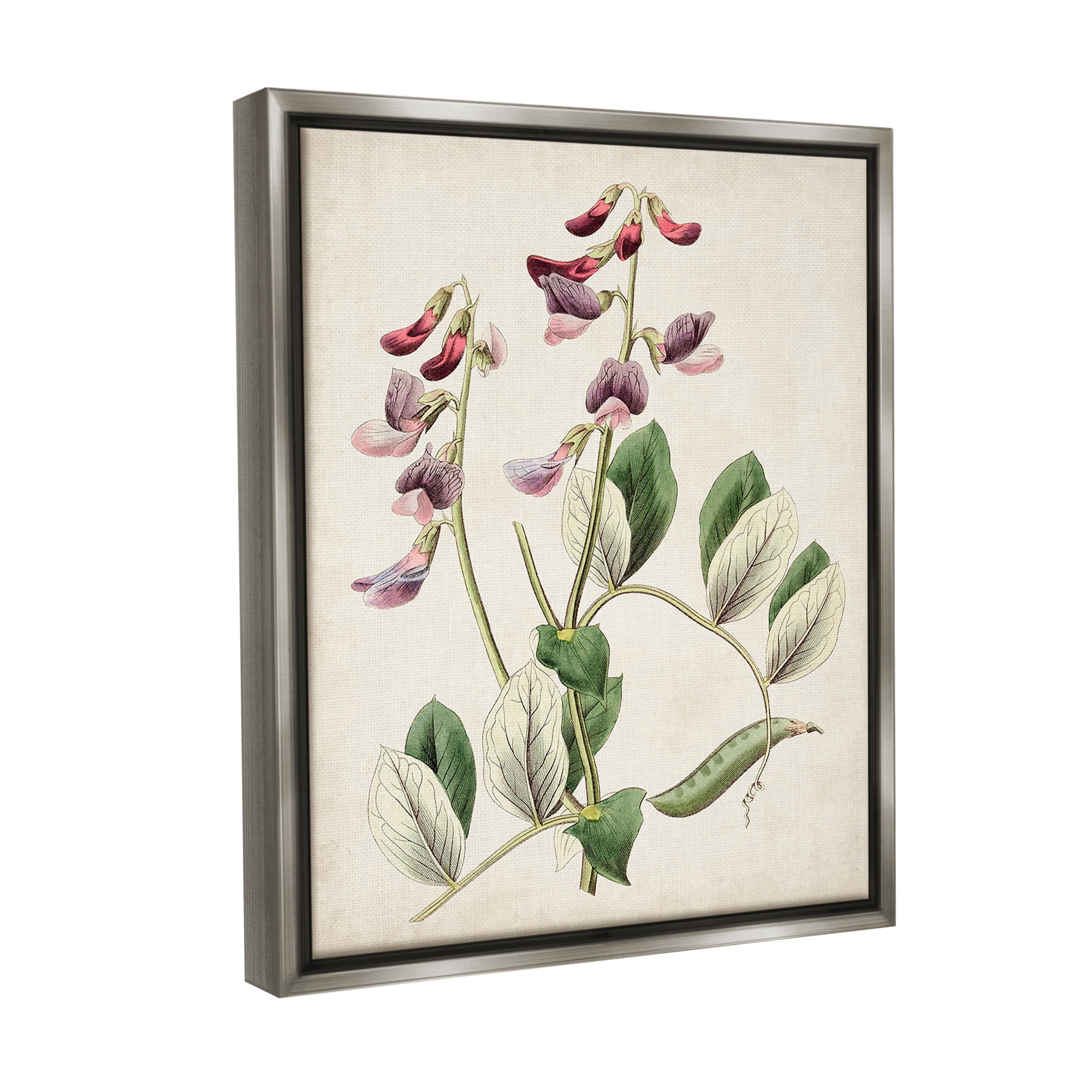 Stupell Industries Vintage Foxglove Study Botanical & Floral Painting Gray Floater Framed Canvas Art Print Wall Art, 25 x 31