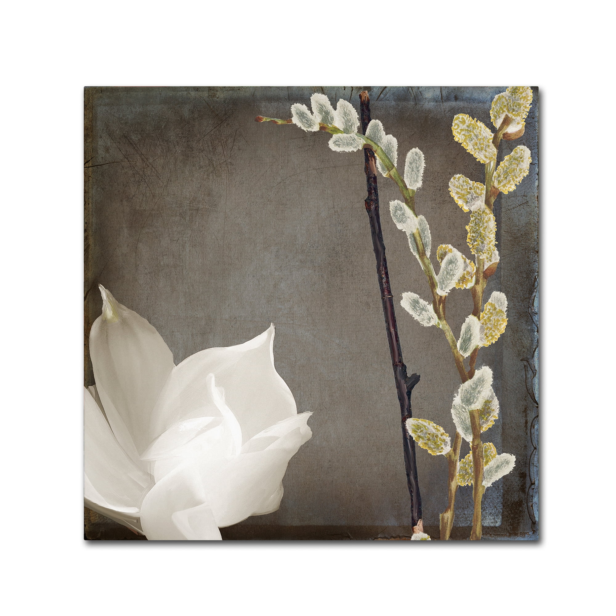 Trademark Fine Art "India II" Canvas Art by Color Bakery