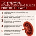 thumbnail image 5 of Dr. Schulze's SuperFood 100, Cellular & Energy Support, 90 Count (30 Servings), 5 of 5
