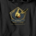 thumbnail image 2 of Boy's Hogwarts Legacy Golden Snidget Logo  Pull Over Hoodie Black Small, 2 of 4