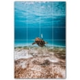 thumbnail image 1 of Picture-Tiles.com: Turtle Ceramic Tile Wall Mural WAL501060-46M. 24"W x 36"H using (24) 6" x 6" Ceramic Tiles-Satin Finish, 1 of 3