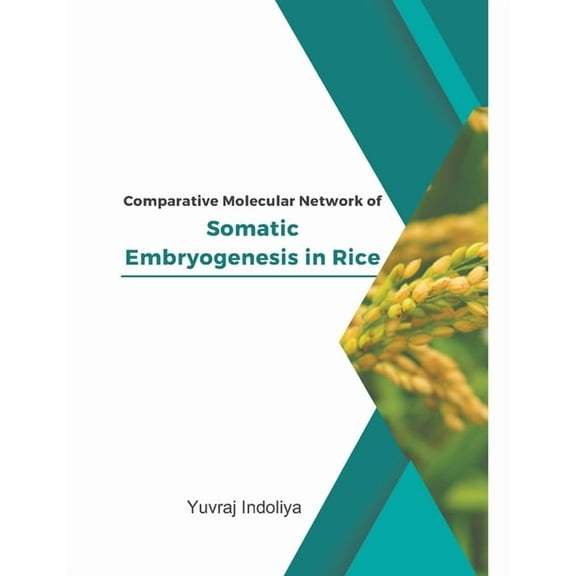 Comparative Molecular Network of Somatic Embryogenesis in Rice (Paperback)