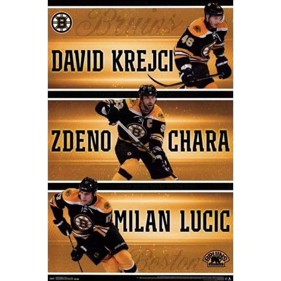 Boston Bruins - Team 2013 Poster Print (24 x 36)