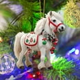 thumbnail image 3 of Christmas Tree Ornaments Acrylic 2D Flat Christmas Hanging Horse Figurines Ornament Realistic Horse Birthday Party Supplies Gifts for Xmas Party Tree Home Decor, 3 of 7