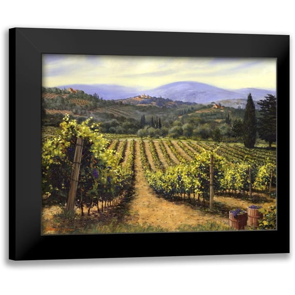 Swanson, Michael 14x12 Black Modern Framed Museum Art Print Titled - Tuscany Vines