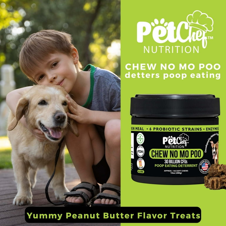 will-dogs-eat-their-own-poop-visitchile-cl