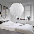 thumbnail image 3 of Moderno rojo/rosa/blanco 110-220V pluma bola lámpara sombra techo colgante luz sombra dormitorio sala de estar E27 suave decoración segura Xemadio 2021244-2, 3 of 4