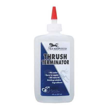 Guaranteed Horse Products 3464 Thrush Terminator - 8 (Best Way To Treat Thrush In Horses Feet)