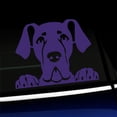 thumbnail image 1 of Peeking Great Dane - Vinyl Decal - Choose Color - [PURPLE], 1 of 1