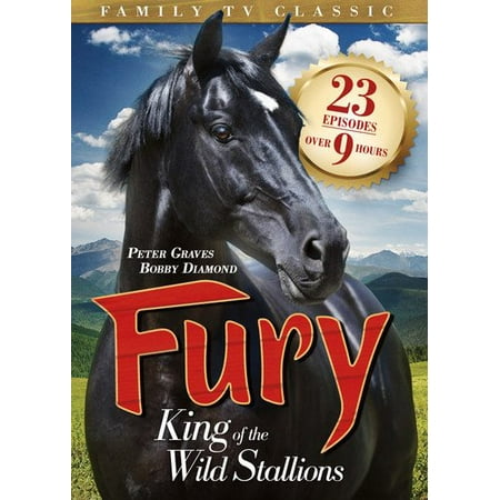 Fury: King of the Wild Stallions: The Painted Hills Lassie/The Proud Rebel