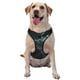 thumbnail image 1 of Fotbe Moonlit Night Sky Shark Arnés para Perro con Estampado –Chaleco Ajustable Acolchado con Asa de Control para Perros Grandes-Medium, 1 of 6