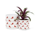 thumbnail image 2 of Allover Cardinals Planter, 2 of 4